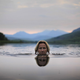 Illustration for article titled The Lady In The Lake
